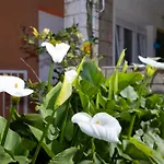Marija Apartmán