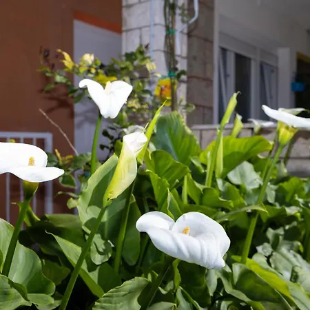 Marija Apartamento