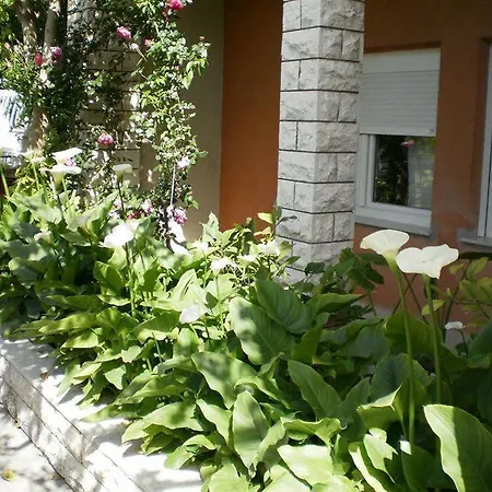 Marija * Split